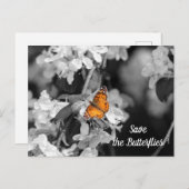 American Lady Butterfly op Apple Blossom Briefkaar Briefkaart (Voorkant / Achterkant)