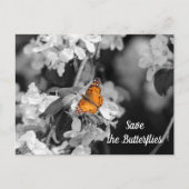 American Lady Butterfly op Apple Blossom Briefkaar Briefkaart (Voorkant)