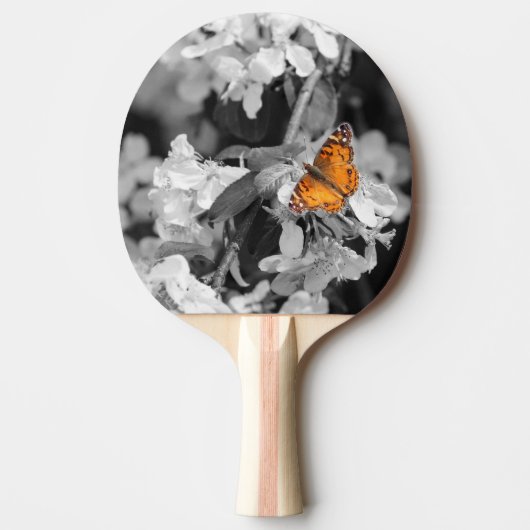 American Lady Butterfly Ping Pong Paddle Tafeltennisbatje (Voorkant)