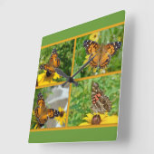 American Lady Butterfly - Vanessa virginiensis Vierkante Klok (Hoek)