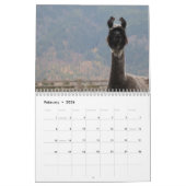 American Llama Magazine 2023 Agenda Kalender (Feb 2026)
