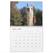 American Llama Magazine 2023 Agenda Kalender (Jan 2026)