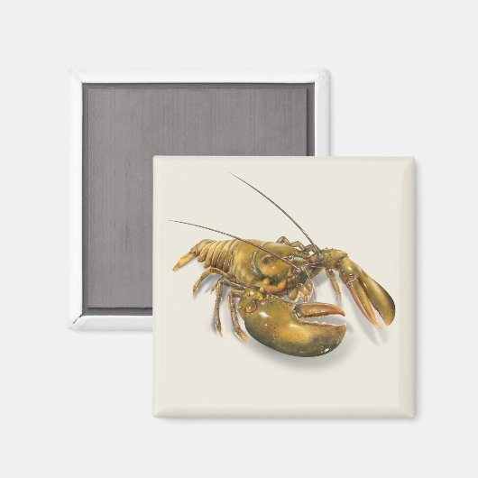 American Lobster Magnet (Voorkant / Achterkant)