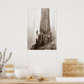 American Loggers Circa 1880 Poster (Keuken)