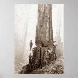 American Loggers Circa 1880 Poster