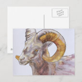 American Long Horn 2004 Briefkaart (Voorkant / Achterkant)