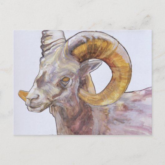 American Long Horn 2004 Briefkaart (Voorkant)