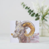 American Long Horn 2004 Briefkaart (Staand voorkant)