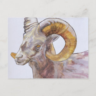 American Long Horn 2004 Briefkaart