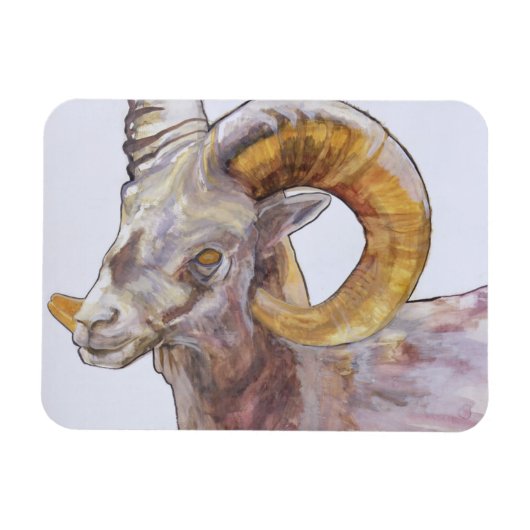 American Long Horn 2004 Magneet (Horizontaal)