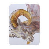 American Long Horn 2004 Magneet (Verticaal)