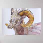 American Long Horn 2004 Poster (Voorkant)