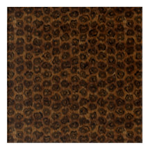 American Oerwoud Cat