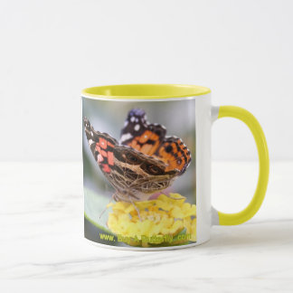 American Painly Butterfly Lifecycle Coffee M Mok