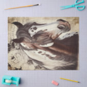 American Paint Horse Decoupage Tissuepapier (Craft)