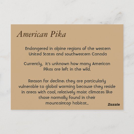 American Pika Briefkaart (Achterkant)