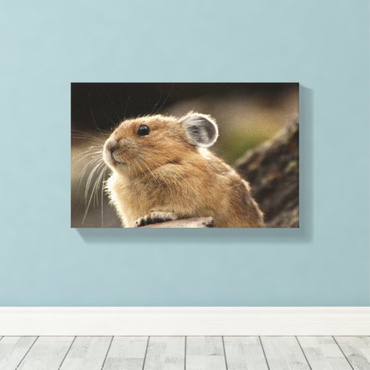 American Pika Canvas Afdruk (Insitu (Houten vloer))