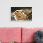 American Pika Canvas Afdruk (Insitu (Woonkamer))