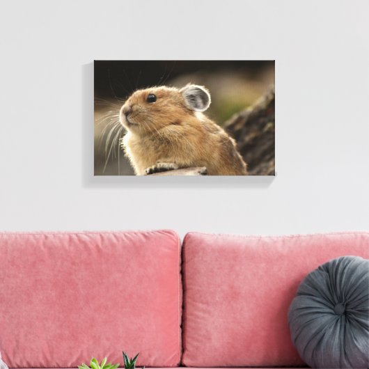 American Pika Canvas Afdruk (Insitu (Woonkamer))