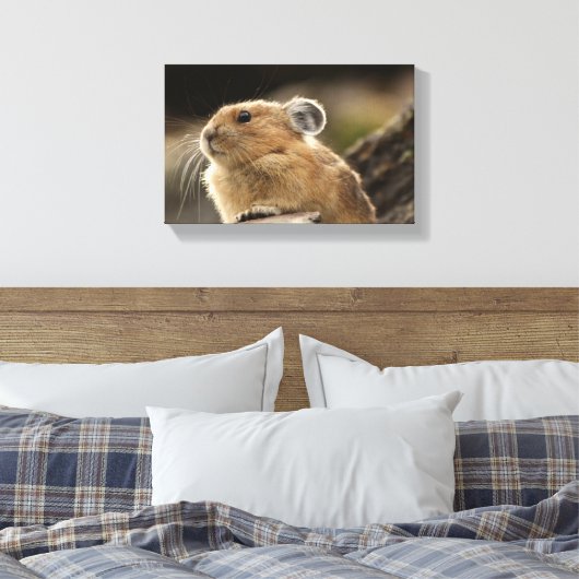 American Pika Canvas Afdruk (Insitu (Slaapkamer))