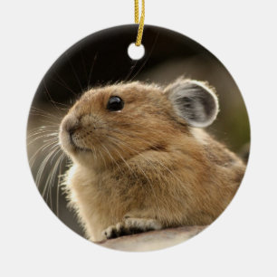 American Pika Keramisch Ornament
