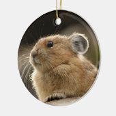 American Pika Keramisch Ornament (Links)