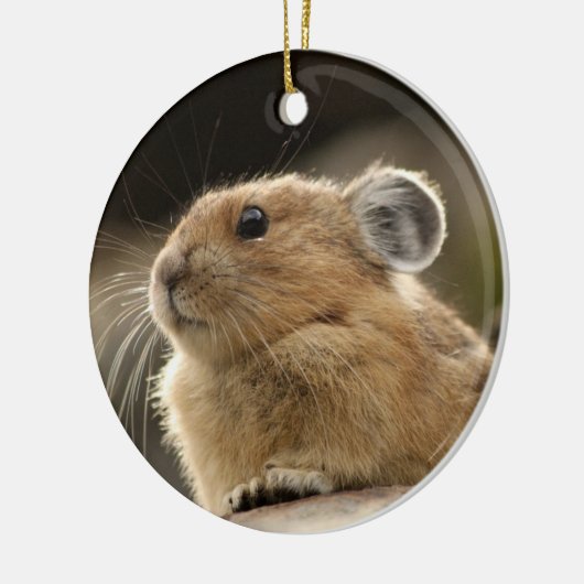 American Pika Keramisch Ornament (Links)
