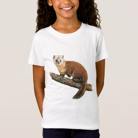 American Pine Marten T-shirt (Voorkant)