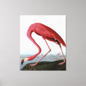 American Pink Flamingo Gift Lover| Schets Flamingo Canvas Afdruk (Voorkant)