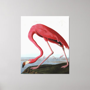 American Pink Flamingo Gift Lover Schets Flamingo Canvas Afdruk