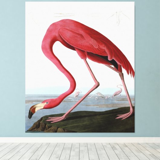 American Pink Flamingo Gift Lover| Schets Flamingo Canvas Afdruk (Insitu (Houten vloer))