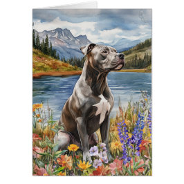 American Pit Bull Terrier - 5" x 7" Art Kaart