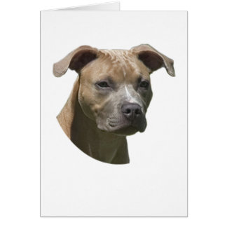 American Pit Bull Terrier (APBT) Card