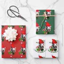 American Pit Bull Terrier Kerstmis