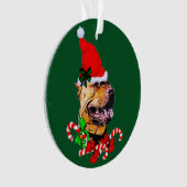 American Pit Bull Terrier Kerstmis Ornament (voorkant)