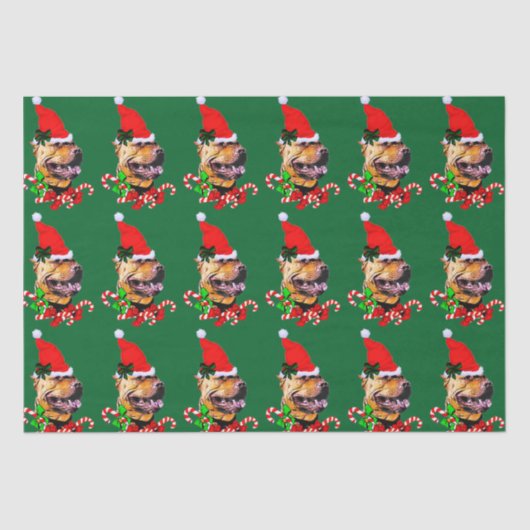 American Pit Bull Terrier Kerstmis Tissuepapier (Voorkant)
