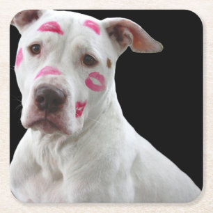 American Pit Bull Terrier met kusjes Kartonnen Onderzetters