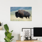 American Plains Bison Poster (Thuiskantoor)