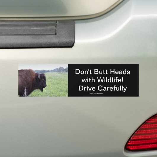 American Plains Buffalo Bison Bumpersticker (Op auto)