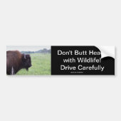 American Plains Buffalo Bison Bumpersticker (Voorkant)