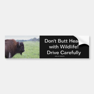 American Plains Buffalo Bison Bumpersticker