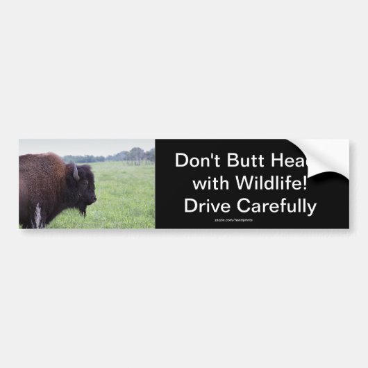 American Plains Buffalo Bison Bumpersticker (Voorkant)