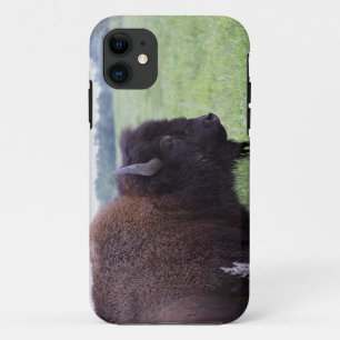 American Plains Buffalo Bison iPhone 5 Hoesje