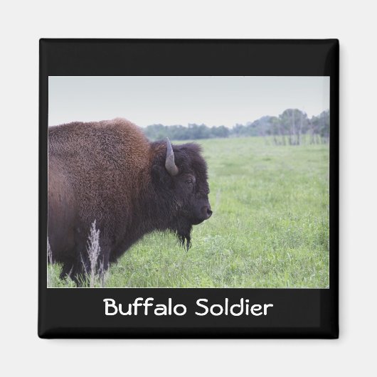 American Plains Buffalo Bison Magnet (Voorkant)