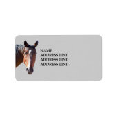 American Quarter Horse - Western retouradres Etiket (Voorkant)