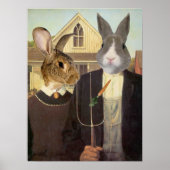 AMERICAN RABBIT-POSTER POSTER (Voorkant)