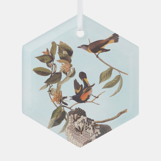 American Redstart Audubon Birds and Wasp Nest Glas Ornament (Voorkant)