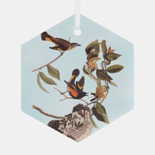 American Redstart Audubon Birds and Wasp Nest Glas Ornament (Achterkant)