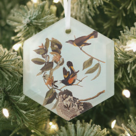 American Redstart Audubon Birds and Wasp Nest Glas Ornament