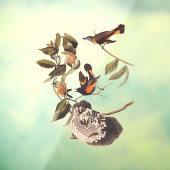 American Redstart Audubon Birds and Wasp Nest Raamsticker (Vel 3)